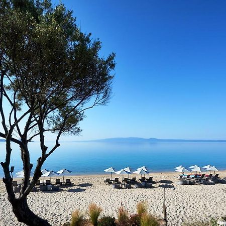 Develikia Private Villas Villa-1 Ierissos Eksteriør billede