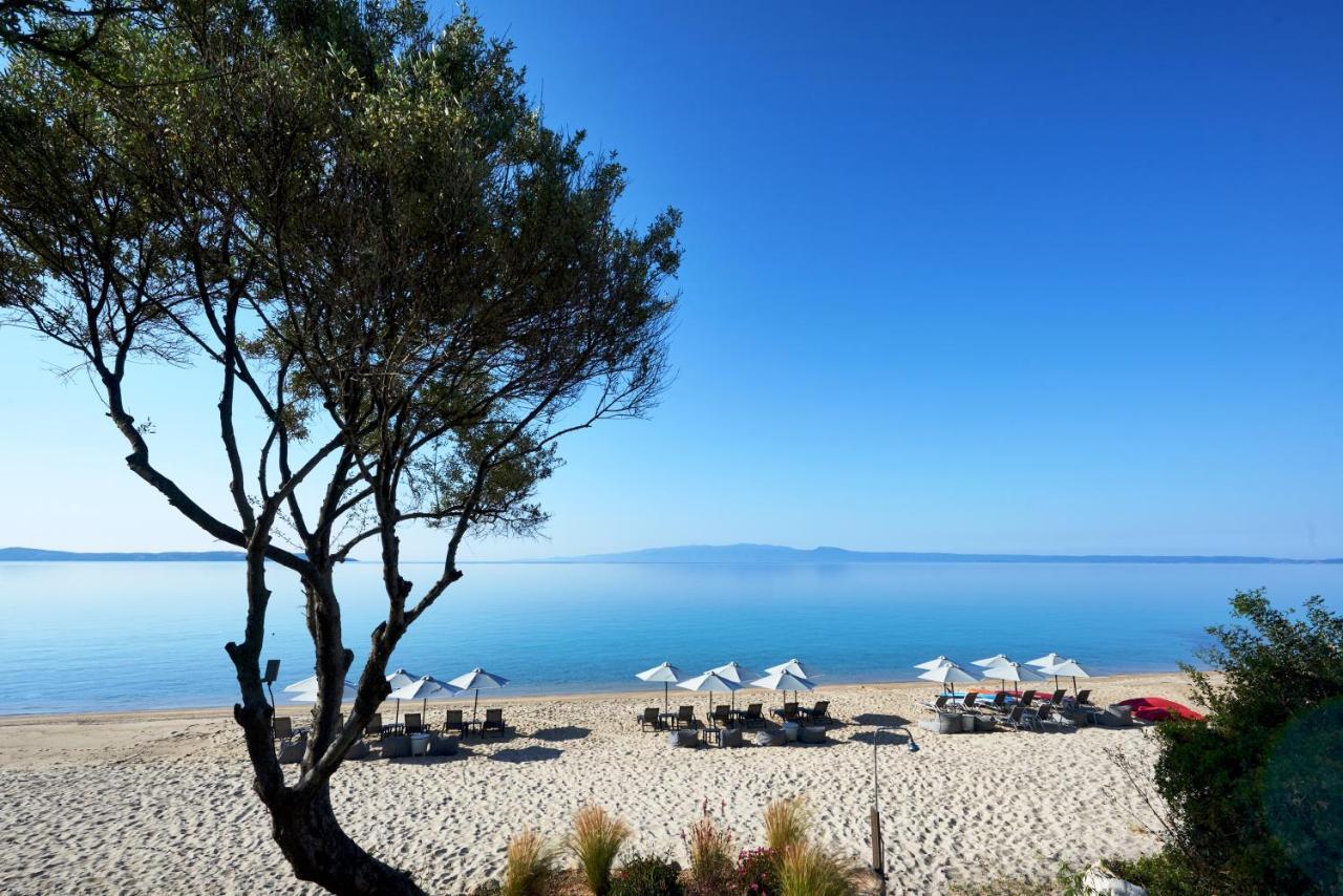Develikia Private Villas Villa-1 Ierissos Eksteriør billede