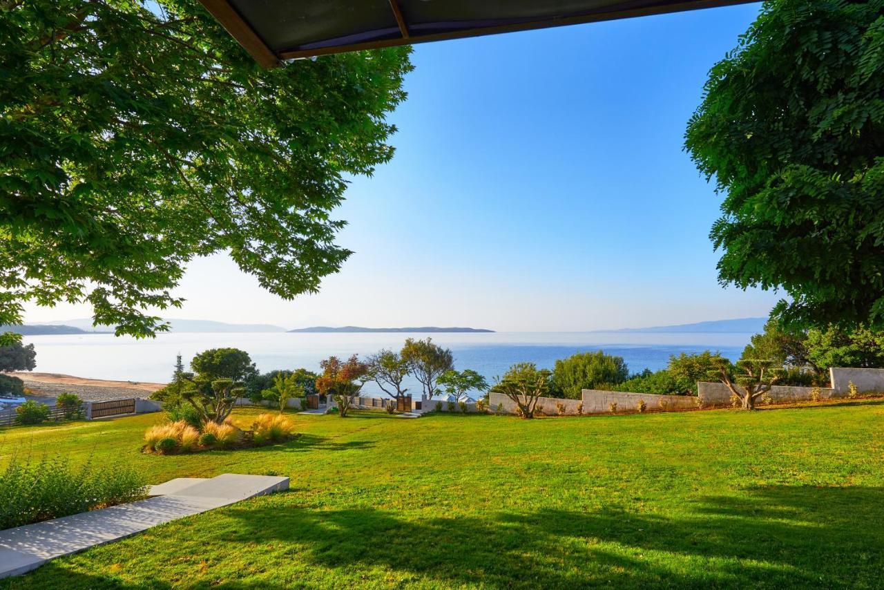 Develikia Private Villas Villa-1 Ierissos Eksteriør billede